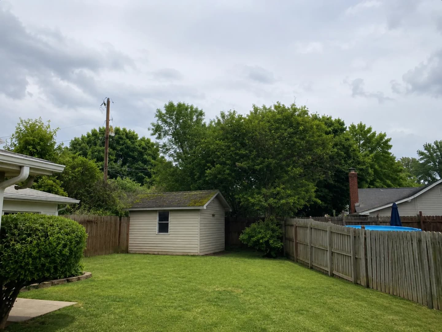 Clean property after professional tree removal by Martin Tree and Turf Care
