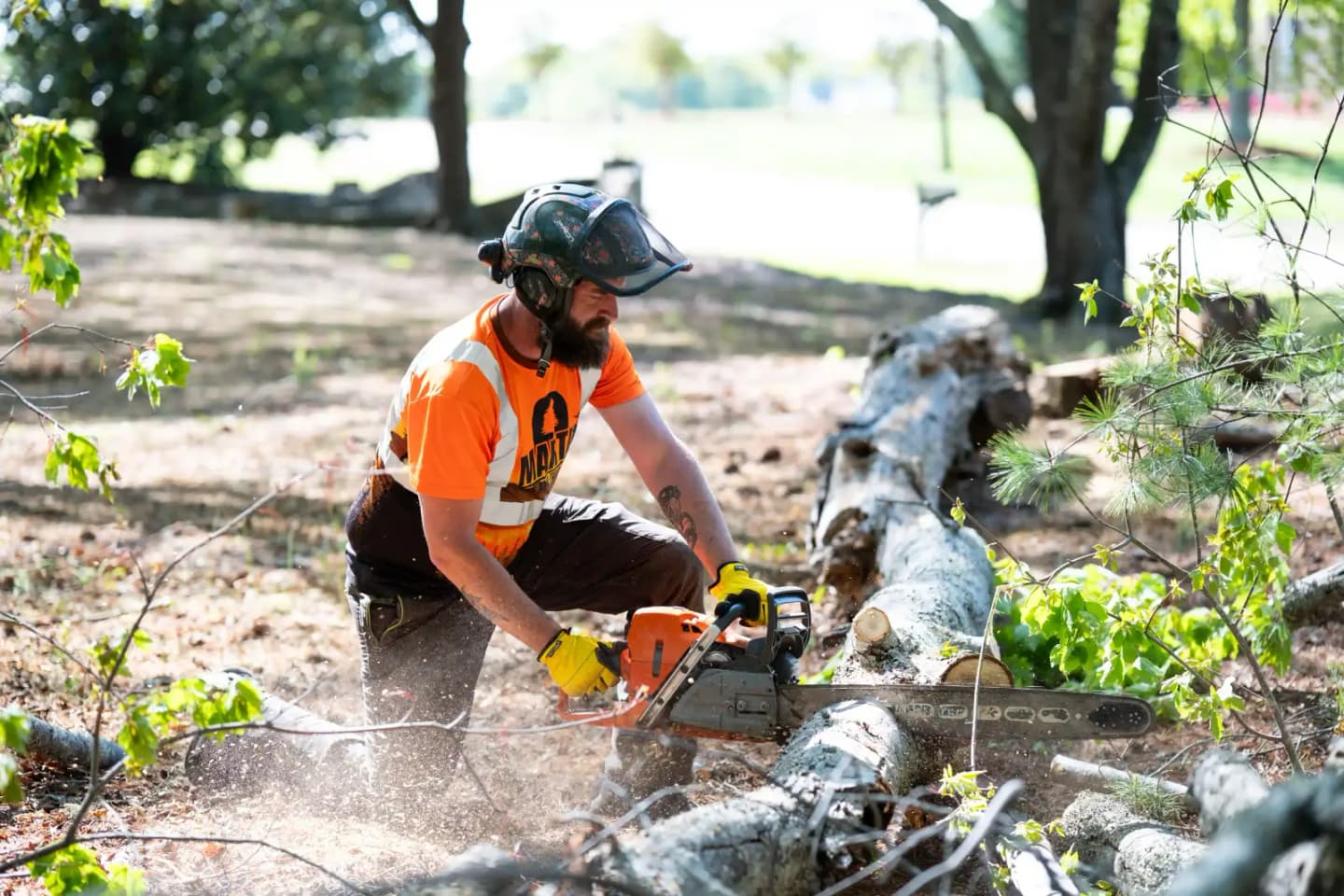 Martin Tree and Turf Care crew actively working a job site in Upstate South Carolina