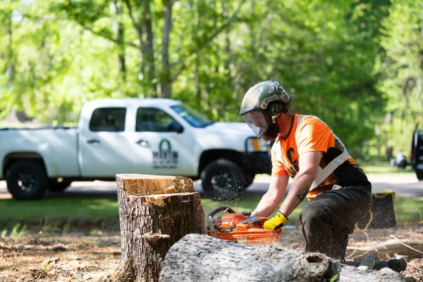 Martin Tree and Turf Care crew flush-cutting a fresh stump beside the truck in Upstate SC — ground below grade, no trip hazard