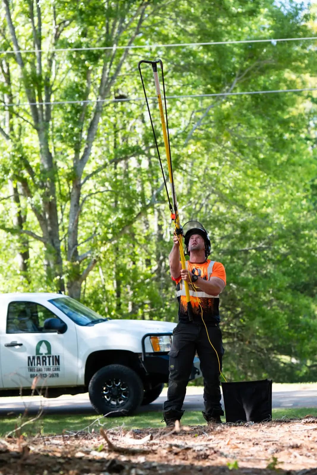 Crown reduction trimming on a mature tree in Upstate SC — proper ISA-standard pruning cut